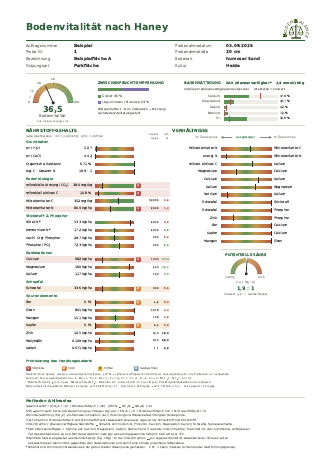 Beispielreport Haney + Totalaufschluss
