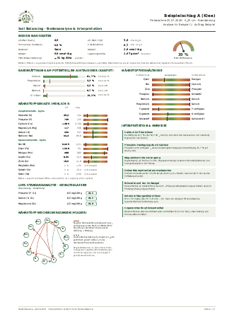 Beispielreport Soil Balancing, Seite 1