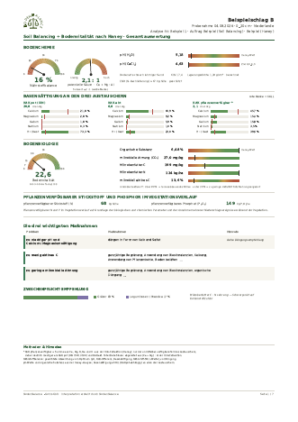 Beispielreport Soil Balancing + Haney, Seite 1
