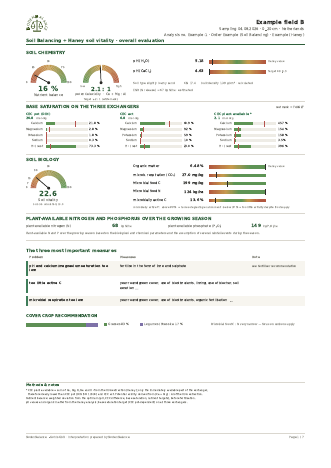Sample report Soil Balancing + Haney, page 1