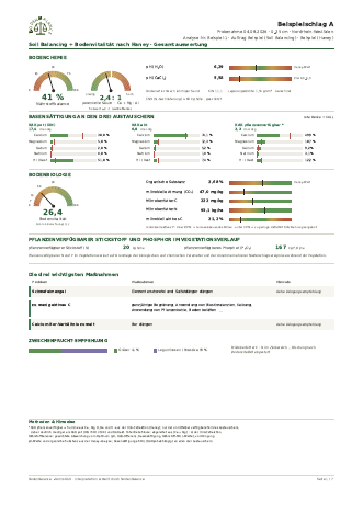 Beispielreport Soil Balancing + Haney + Totalaufschluss